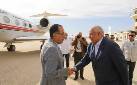 رئيس الوزراء يصل الوادي الجديد لتفقد وافتتاح عدد من المشروعات التنموية