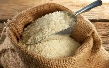 محتاج تعرف سعر طن الأرز الشعير اليوم؟ إليك آخر تحديث اسعار الارز اليوم الأربعاء 1 يناير 2025 في الأسواق المصرية