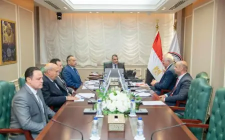 وزير الإنتاج الحربي وممثلى جرين تك يبحثان الموقف التنفيذي لمشروع محطة تحويل المخلفات لطاقة كهربائية