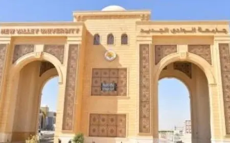 نواب الوادي الجديد يطالبون الحكومة بإنشاء مستشفى جامعي ودعم منظومة الصحة والعلاج