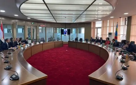 وزير الخارجية: حريصون على المساهمة في تنفيذ المشروعات التنموية بالكونغو الديمقراطية