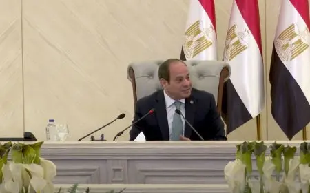 المتحدث العسكري للرئيس السيسي: هون على سيادتك يا فندم.. والرئيس: هما يومين على وش الدنيا 