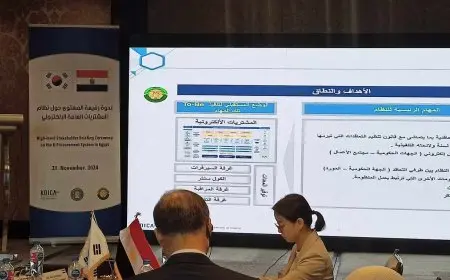 منظومة موحدة وآمنة بتعاون كوري.. تفاصيل نظام المشتريات العامة الإلكتروني بمصر المنتظر إطلاقه