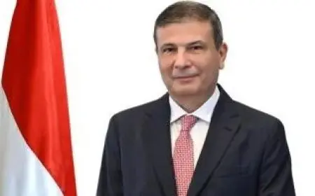 الزراعة: منح موافقات لاستيراد 238 ألف طن تقاوى بطاطس خلال الموسم الحالي