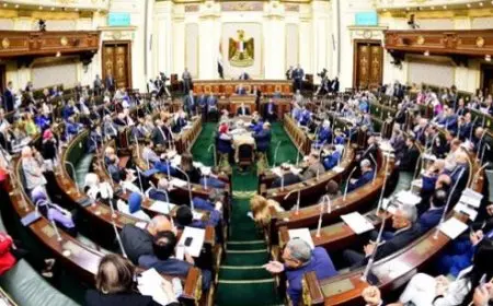 طلب إحاطة للحكومة لمواجهة السلع الغذائية مجهولة المصدر