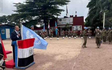 وزير الخارجية ينقل رسالة من الرئيس السيسي لرئيس الكونغو لتعزيز التعاون الثنائي