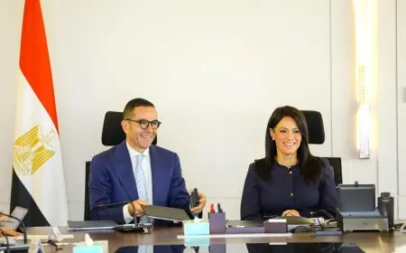 المشاط: نعمل مع البنك الدولي لوضع رؤية طموحة لزيادة الاستثمارات الأجنبية