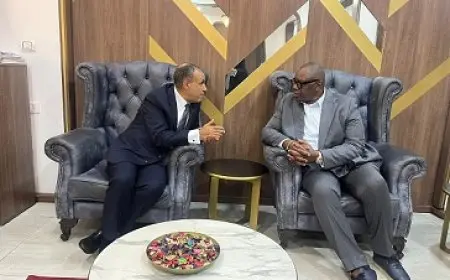 وزير الخارجية والهجرة يلتقي وزير الصناعة بالكونغو الديمقراطية