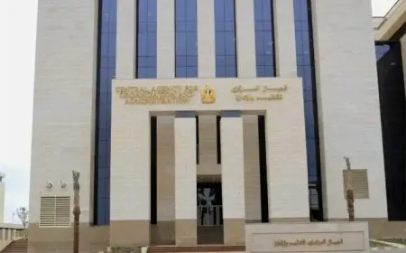 التنظيم والإدارة يتيح الاستعلام عن نتائج تظلمات وظائف وزارة النقل 2024