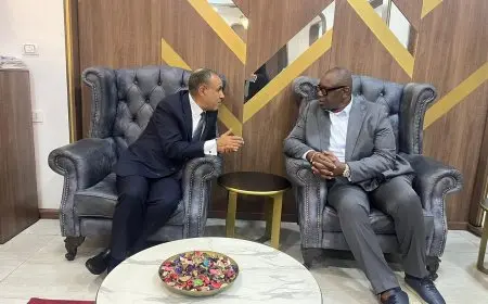 وزير الخارجية والهجرة يلتقي مع وزير الصناعة بالكونجو الديمقراطية