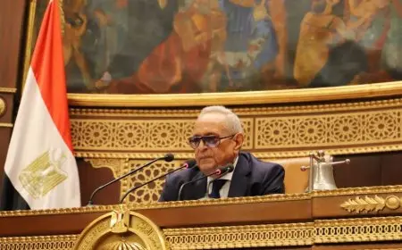 وكيل مجلس الشيوخ: المشروعات العملاقة تكلفت 120 مليار جنيه.. ونواجه حرب شائعات