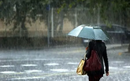 أمطار على القاهرة الآن.. الأرصاد تكشف تفاصيل المنخفض الجوي