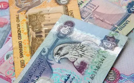 سعر الدرهم الإماراتي أمام الجنيه المصري اليوم في السوق السوداء والبنوك الاربعاء 25-12-2024