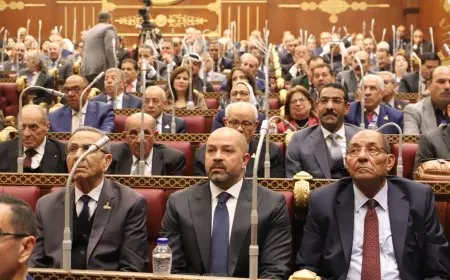 الشيوخ يوافق رسميا على رفع الحصانة عن النائب أحمد دياب