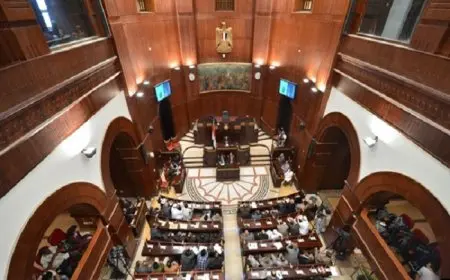 مجلس الشيوخ يرفع الحصانة عن أحمد دياب بسبب قضية اللاعب أحمد رفعت