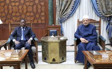 شيخ الأزهر: مستعدون لزيادة المنح الدراسية لأبناء كوت ديفوار.. وتدريب الأئمة منهم