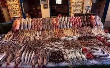 انخفاض الجمبري والسبيط.. أسعار السمك اليوم الأربعاء في سوق العبور