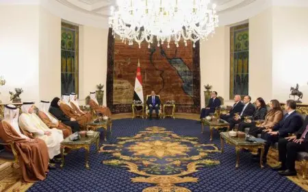 السيسي ووزير خارجية قطر يبحثان الجهود المشتركة الرامية لوقف إطلاق النار في غزة