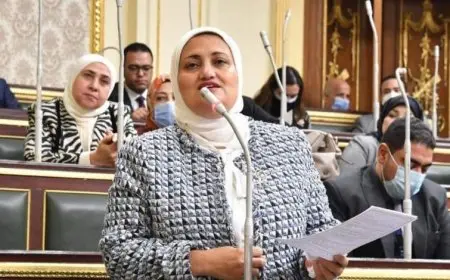 سؤال برلماني بشأن معاناة ذوي الإعاقة للحصول على حقوقهم الدستورية في الصحة والتعليم والإسكان