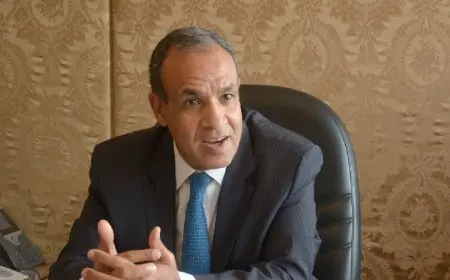 عبدالعاطي: مصر تعمل على تذليل العقبات التي تواجه المستثمرين وتطوير بيئة الأعمال