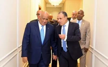 وزير الخارجية يبحث مع رئيس البرلمان الجيبوتي الأوضاع في القرن الإفريقي