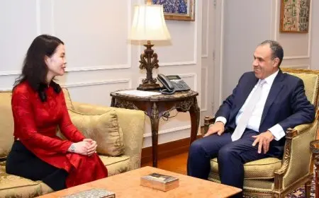 عبدالعاطي: السوق المصري يفتح أبوابه للاستثمارات الفيتنامية