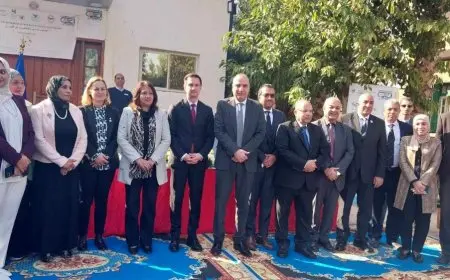 سفير سلوفينيا في مصر: النحل مهم كملقحات للأمن الغذائي العالمي