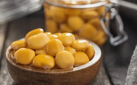 الترمس علاج جيد للسكر في حالة واحدة.. صلاح الغزالي حرب يوضح