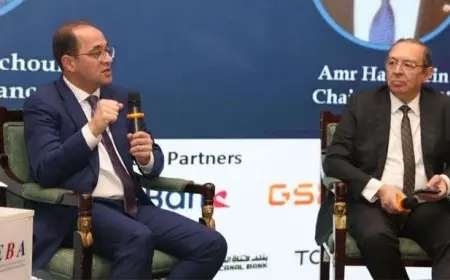 وزير المالية: نعمل على بناء الثقة واليقين بين الضرائب والمستثمرين