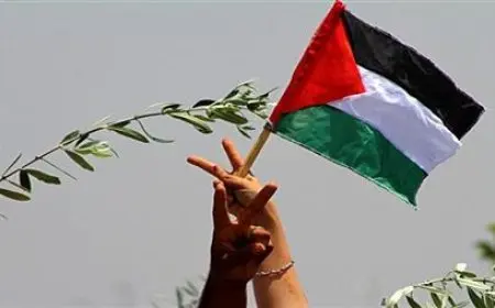 مصر تحتفل باليوم الدولي للتضامن مع الشعب الفلسطيني وتطالب بإنهاء الاحتلال الإسرائيلي