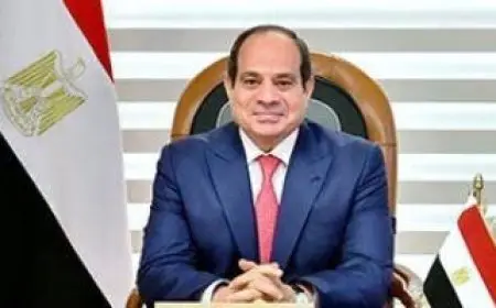 الرئيس السيسي: الحل الشامل للقضية الفلسطينية يعتمد على إنهاء الاحتلال وإقامة دولة مستقلة