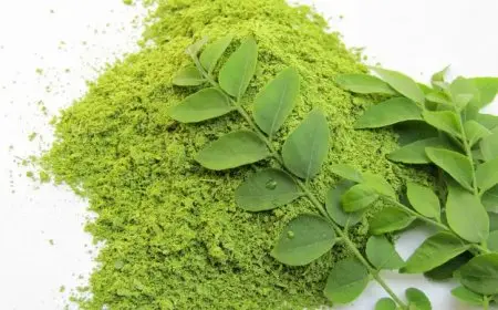 منها فقدان الوزن.. فوائد صحية مذهلة لأوراق الكاري