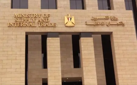 تخصيص قطعة أرض لصالح وزارة التموين لاستخدامها في إقامة صوامع غلال