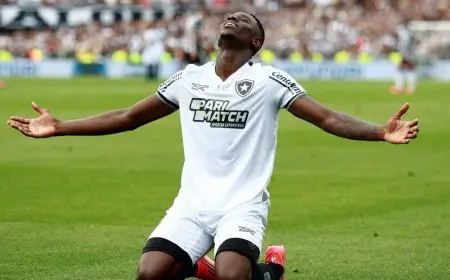 بوتافوغو يتحدى النقص العددي ويتوج بكوبا ليبرتادوريس