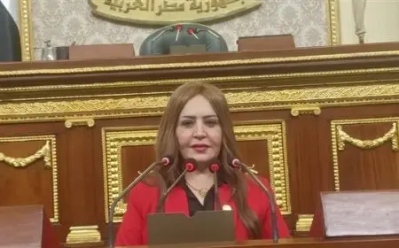 النائبة جيهان البيومي تطالب بإغلاق تيك توك: يسيء للمجتمع ولابد من الإنهاء عليه تماما