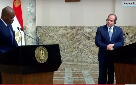 رئيس الجابون عن العاصمة الإدارية: أتمنى تحقيق هذه الإنجازات في بلادي