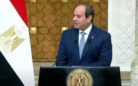 السيسي: مصر والجابون تبذلان جهودا لإرساء الأمن والاستقرار بمحيطهما الإقليمي