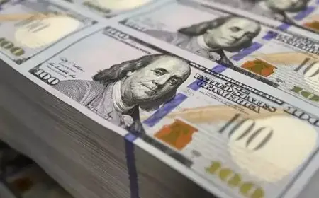 الودائع بالعملة الأجنبية ببنوك مصر تسجل رقما قياسيا وتتخطي 57 مليار دولار