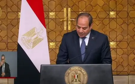 الرئسي السيسي: حرص مصري جابوني على تعزيز التعاون الثنائي وتحقيق التكامل الإقليمي