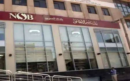 1.4 مليون مستفيد من التكافل الاجتماعي ببنك ناصر بـ 611 مليون جنيه في 4 أشهر