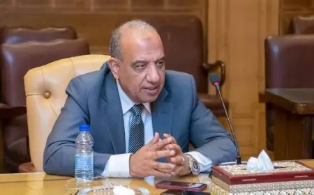 لمدة يومين.. انطلاق أعمال المجلس الوزاري العربي للكهرباء بالعاصمة الإدارية