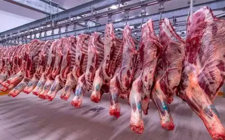 خريطة الأسعار اليوم: انخفاض أسعار اللحوم وارتفاع الدواجن والحديد