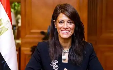 مؤسسات التمويل الدولية تضخ 890 مليون دولار في الشركات الخاصة بمصر في نوفمبر