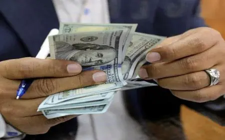 الحكومة تحسم جدل إجراء تعويم جديد للجنيه.. التحرك 4 أو 5% هبوطا وصعودا