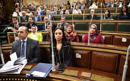 التضامن: قانون الضمان والدعم النقدي يتوافق مع نصوص الدستور