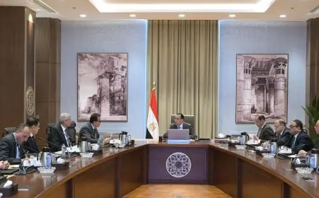 مدبولي يوجه بسرعة دفع 10 مليارات جنيه لسداد جزء كبير من مُستحقات شركات الأدوية