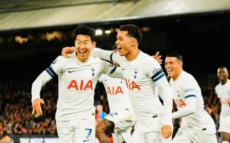 تشكيل توتنهام ضد فولهام.. سون وفيرنر في الهجوم