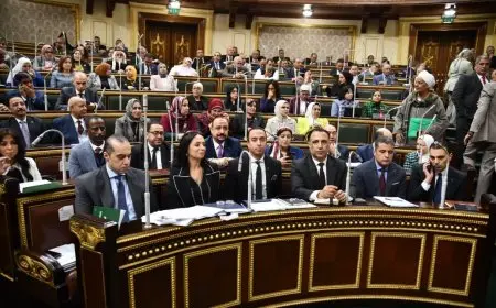 مايا مرسي: قانون الضمان الاجتماعي والدعم النقدي يتوافق مع نصوص الدستور