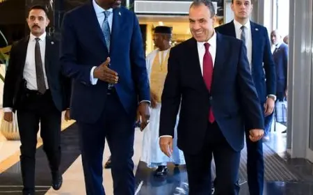 عبدالعاطي يؤكد دعم مصر لجهود مالي الرامية لمُكافحة الإرهاب واستعادة الأمن