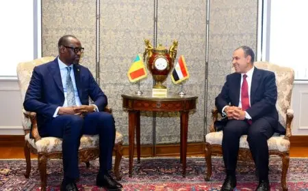 وزير الخارجية والهجرة يستقبل نظيره المالي في القاهرة